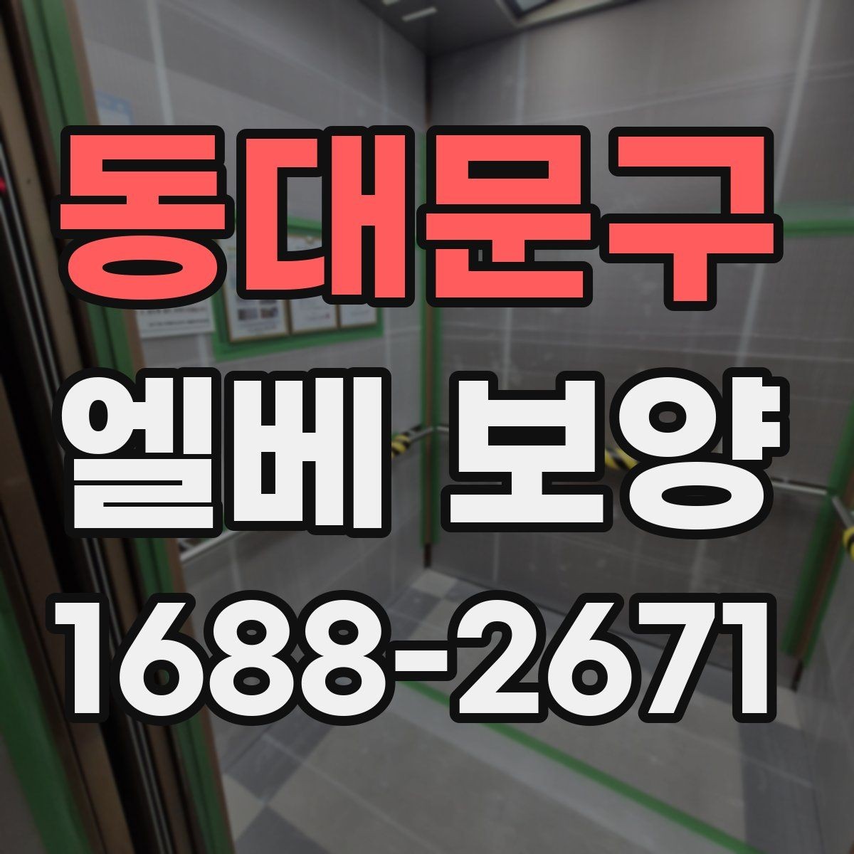 동대문구 엘베 보양 대형 이사 현장에 맞는 보호 범위 설정