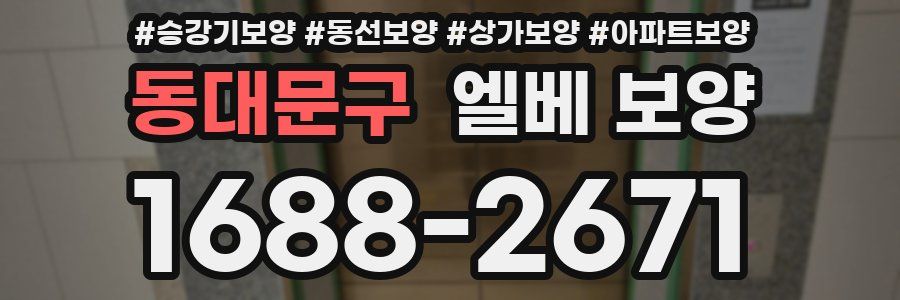 동대문구 엘베 보양