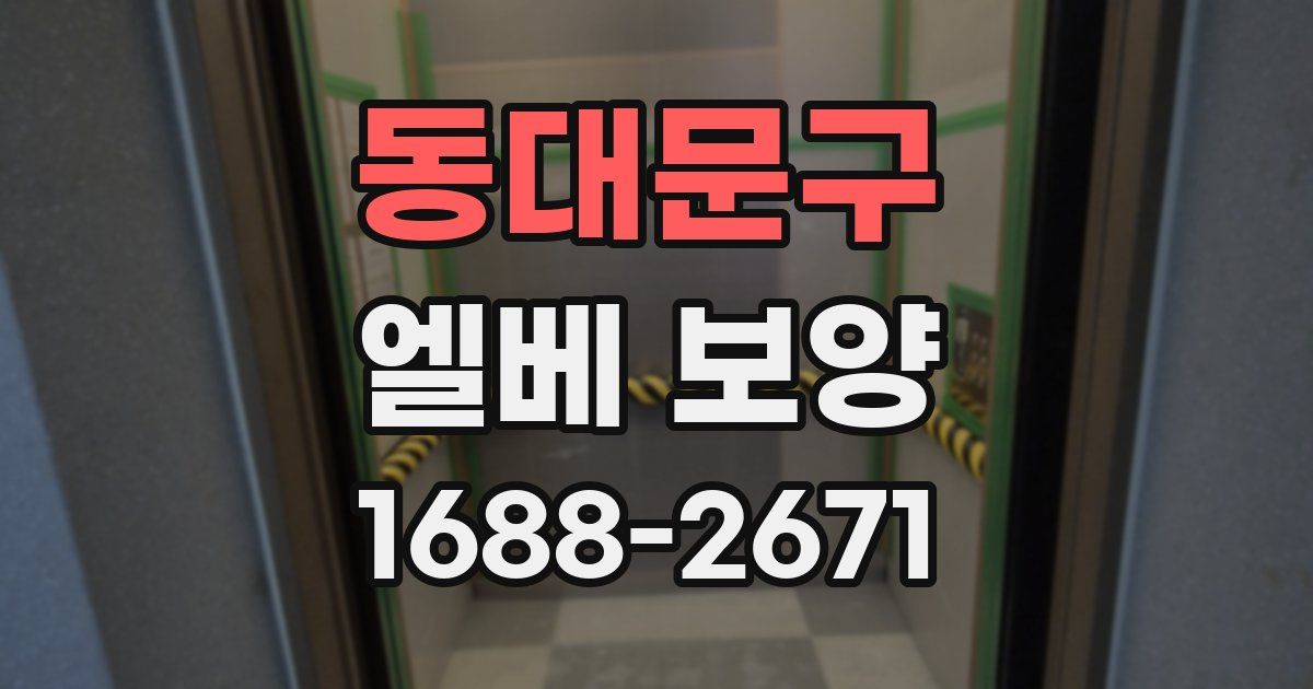 동대문구 엘베 보양