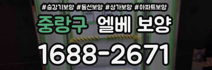 중랑구 엘베 보양