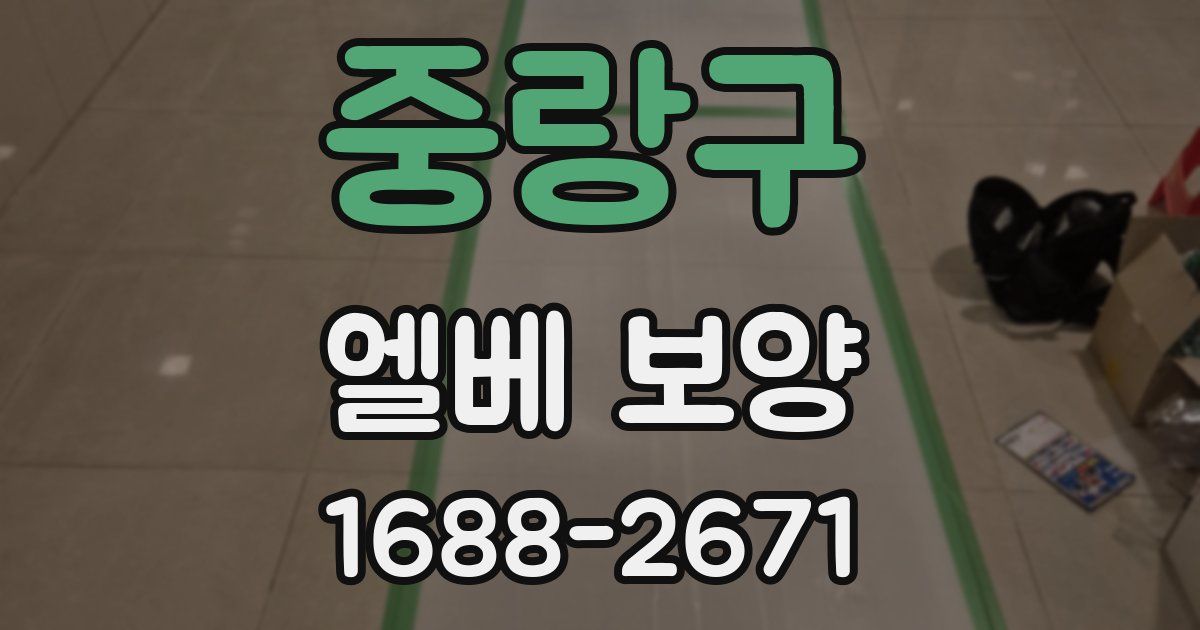 중랑구 엘베 보양