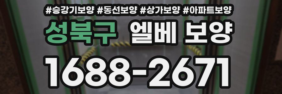 성북구 엘베 보양