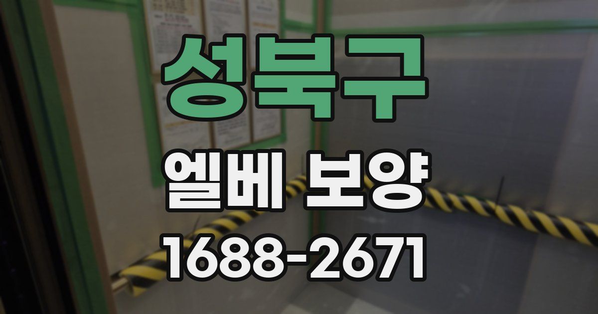 성북구 엘베 보양