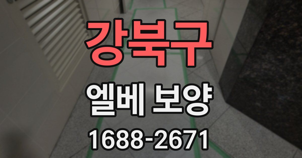 강북구 엘베 보양