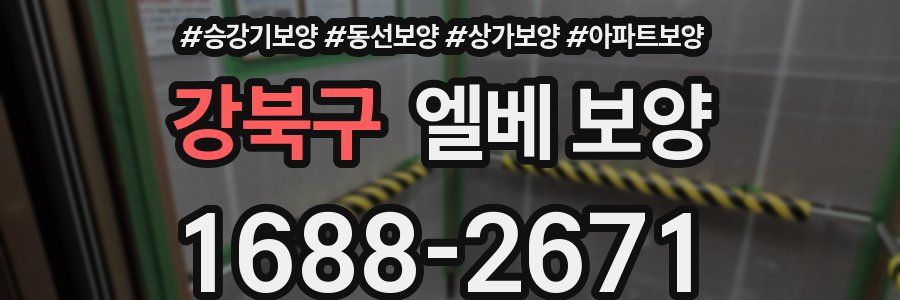 강북구 엘베 보양