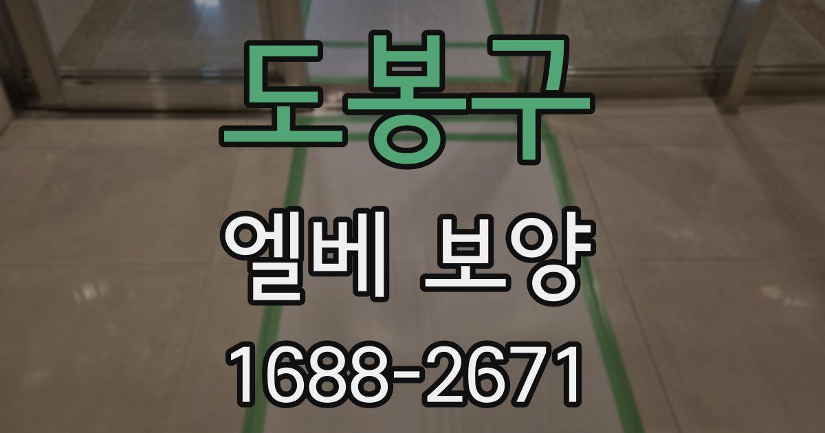 도봉구 엘베 보양