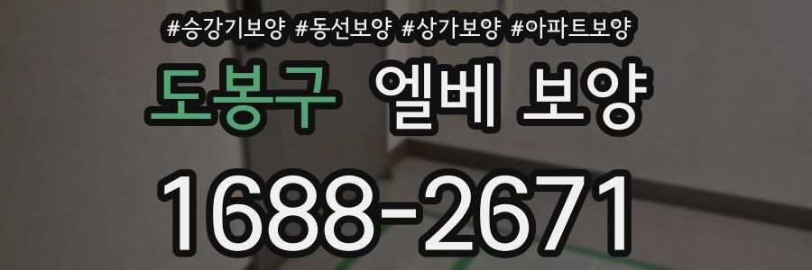 도봉구 엘베 보양