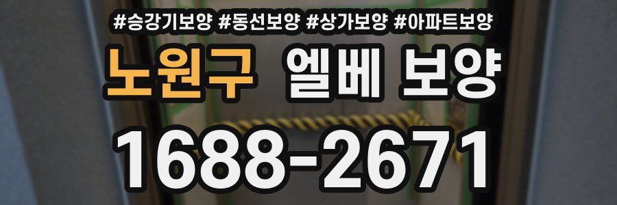 노원구 엘베 보양