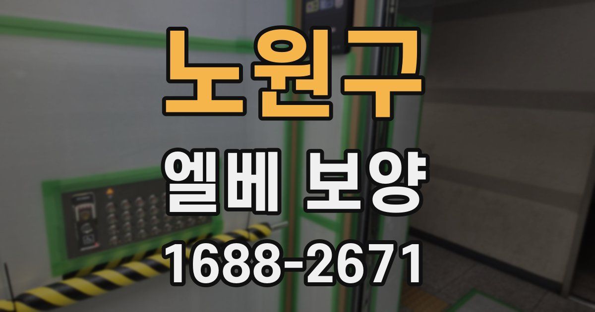 노원구 엘베 보양