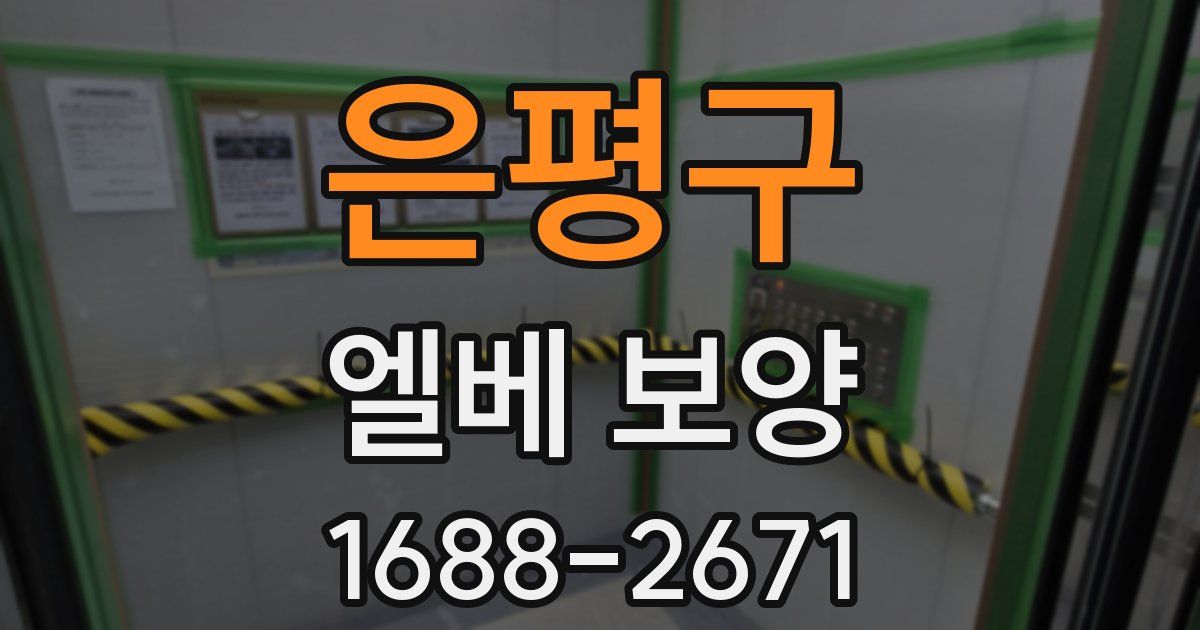 은평구 엘베 보양