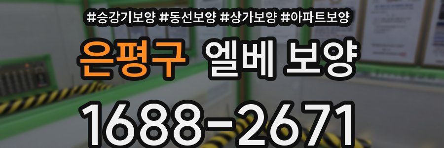 은평구 엘베 보양