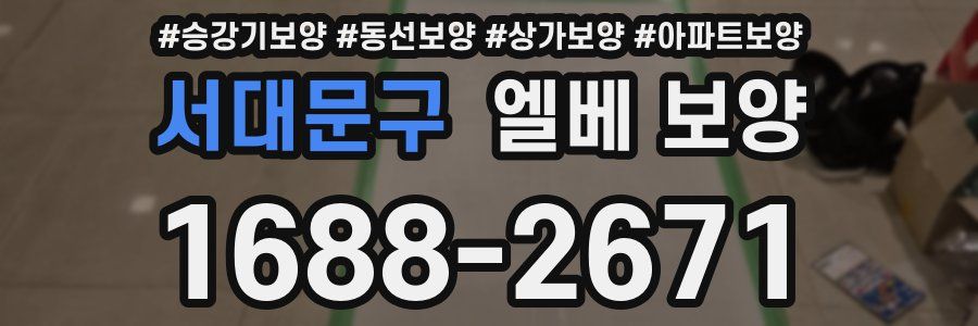 서대문구 엘베 보양