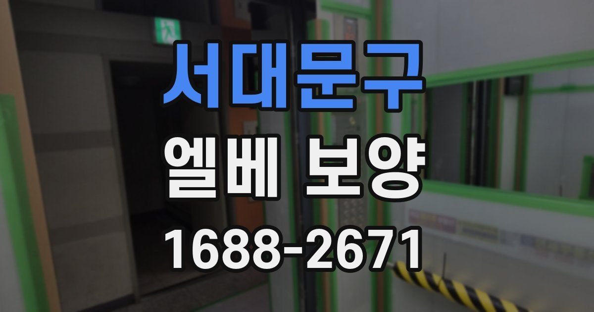 서대문구 엘베 보양