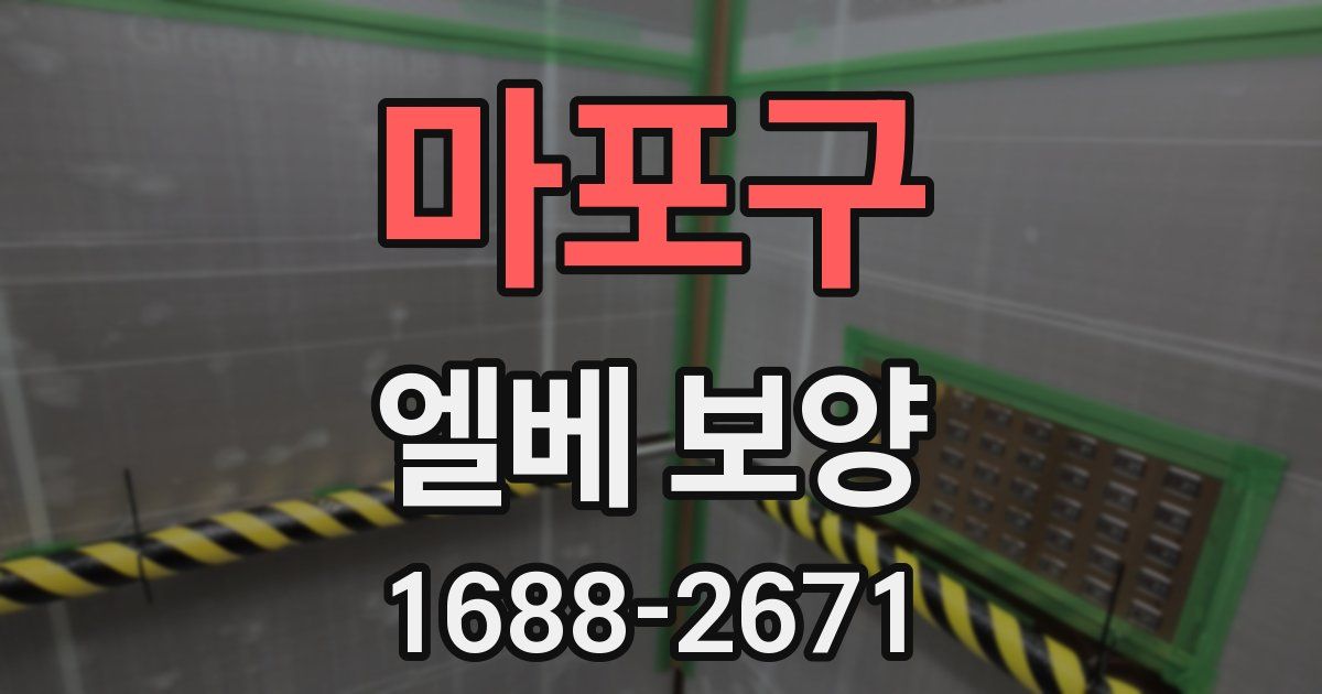 마포구 엘베 보양
