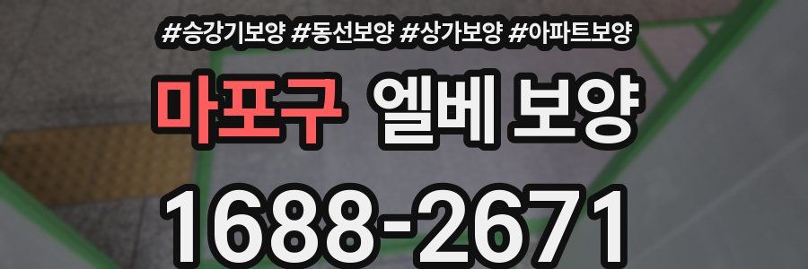 마포구 엘베 보양