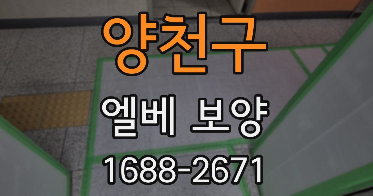 양천구 엘베 보양