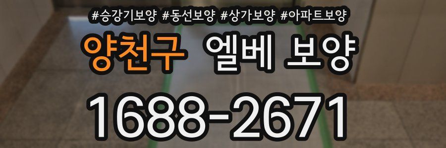 양천구 엘베 보양