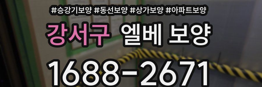 강서구 엘베 보양