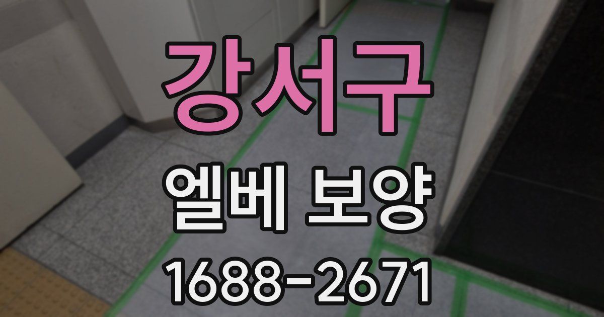 강서구 엘베 보양
