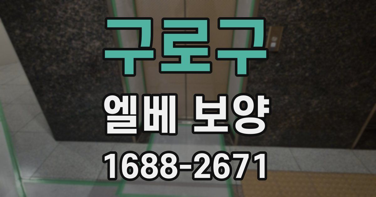 구로구 엘베 보양