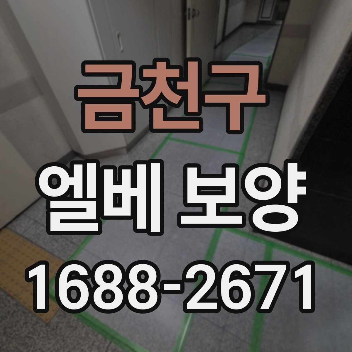 금천구 엘베 보양 보양 후 원상복구 확인 항목 체크