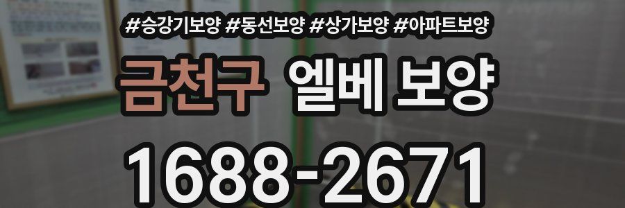 금천구 엘베 보양
