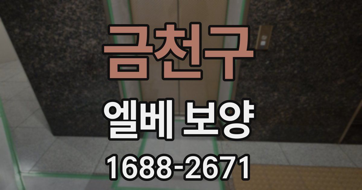금천구 엘베 보양