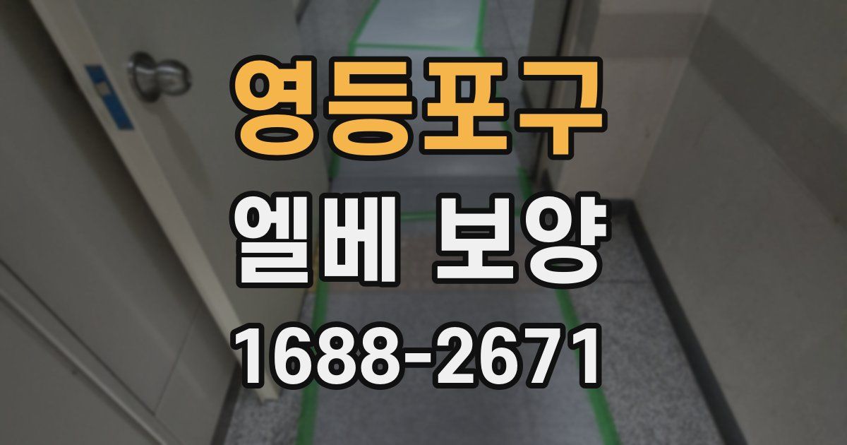 영등포구 엘베 보양