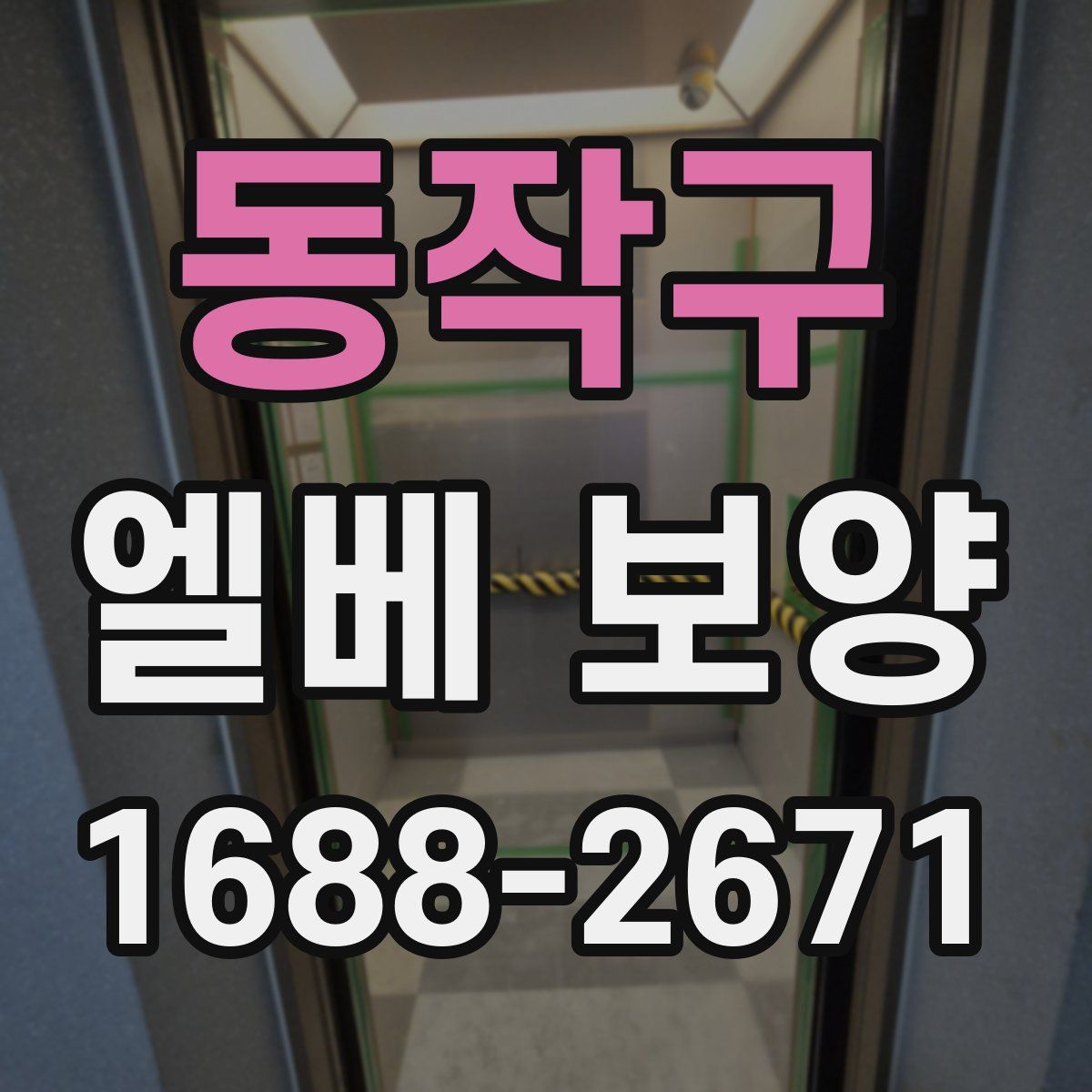 동작구 엘베 보양