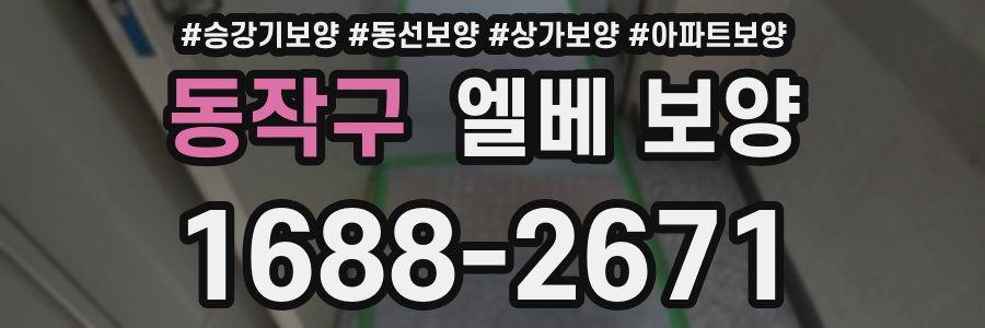 동작구 엘베 보양