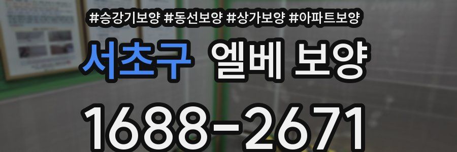 서초구 엘베 보양
