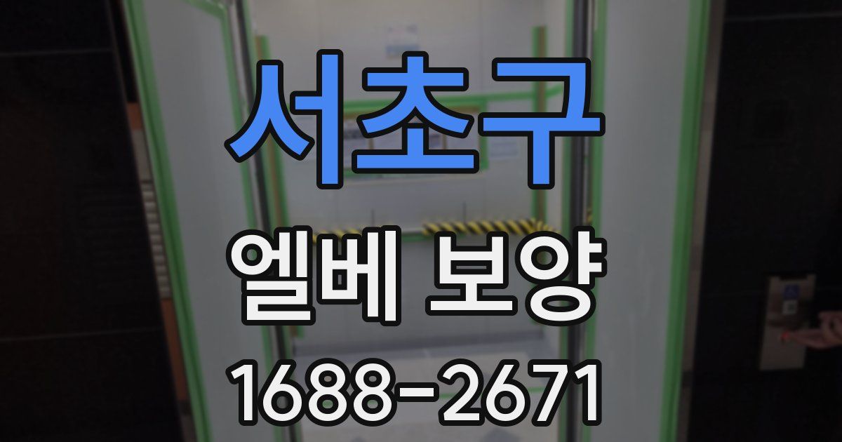서초구 엘베 보양