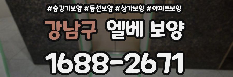 강남구 엘베 보양