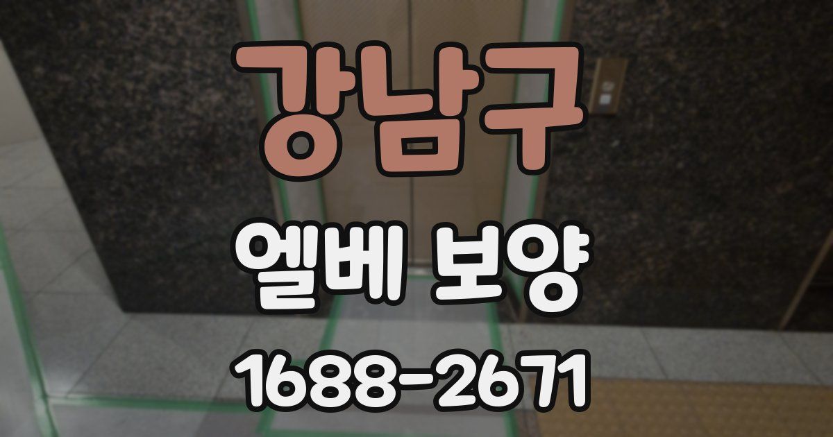 강남구 엘베 보양