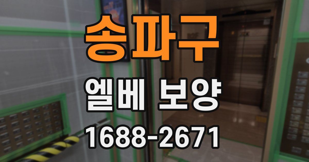 송파구 엘베 보양