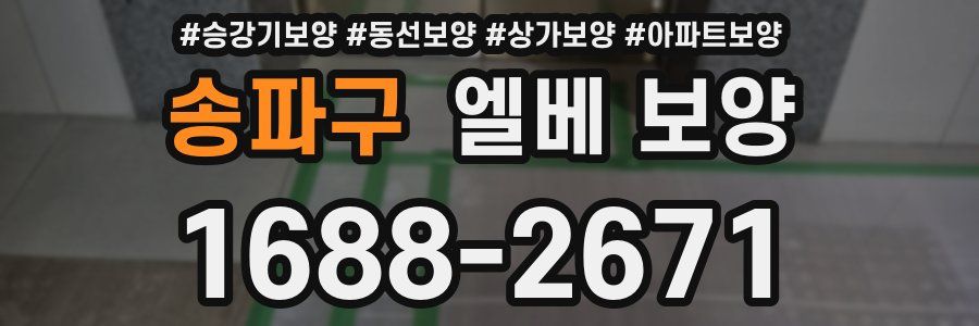 송파구 엘베 보양