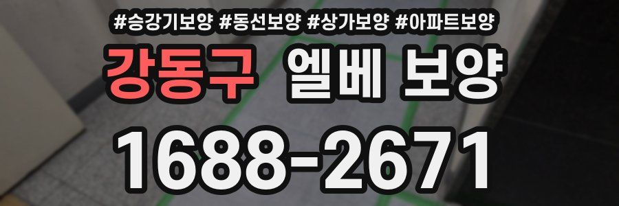 강동구 엘베 보양