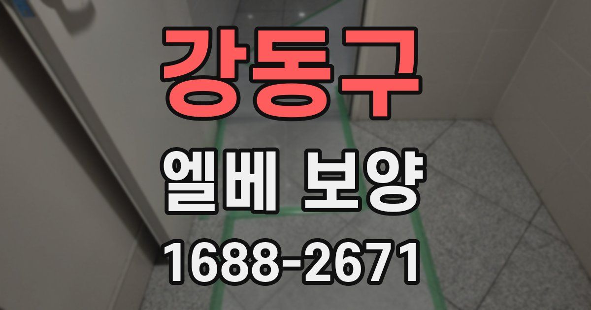 강동구 엘베 보양
