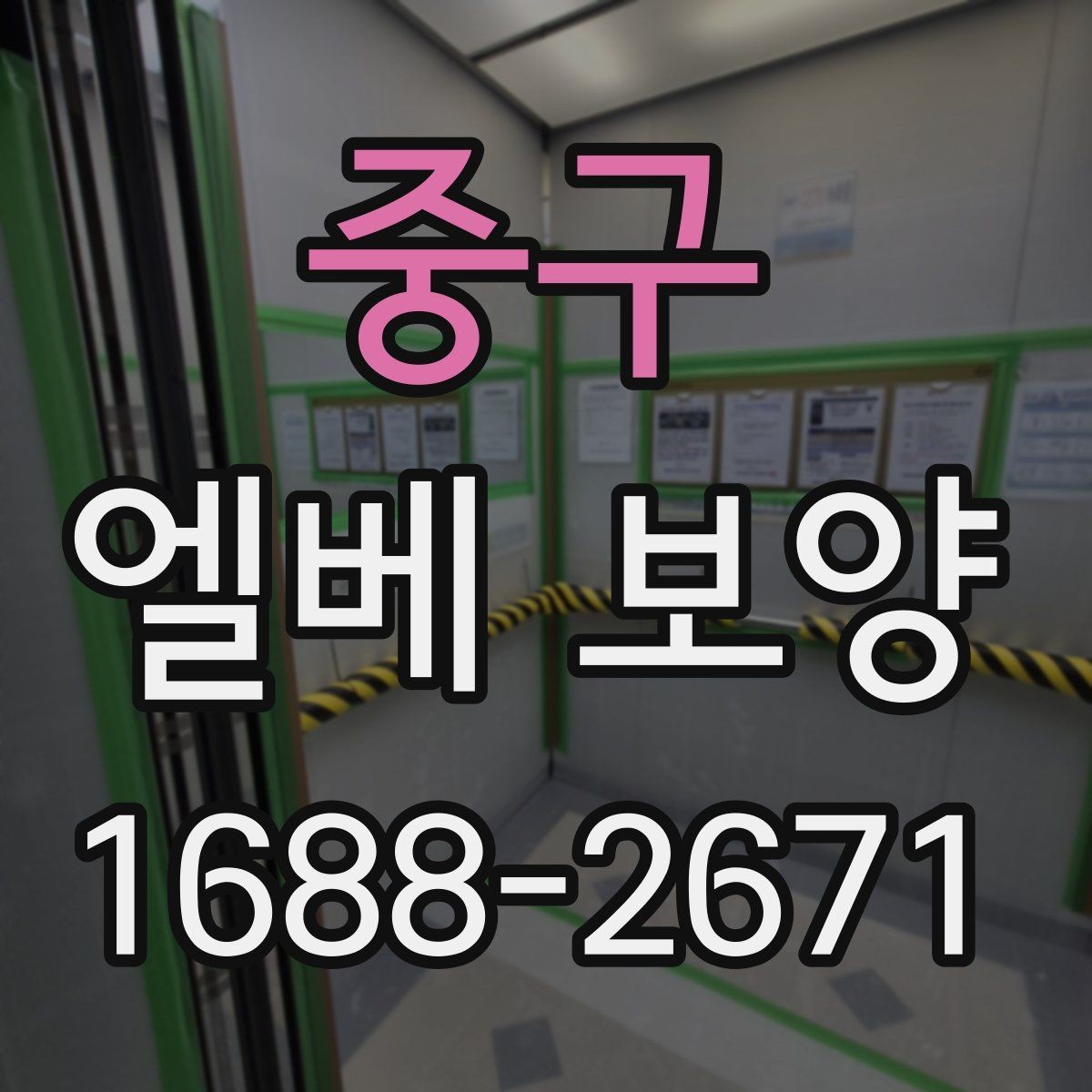중구 엘베 보양 대형 이사 현장에 맞는 보호 범위 설정