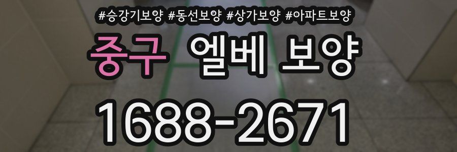 중구 엘베 보양