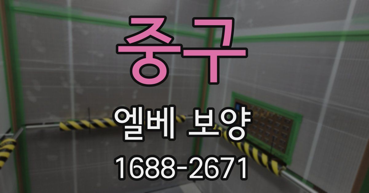 중구 엘베 보양