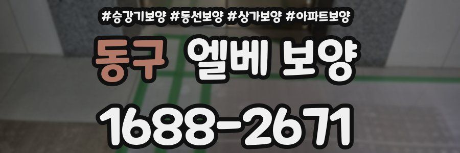 동구 엘베 보양