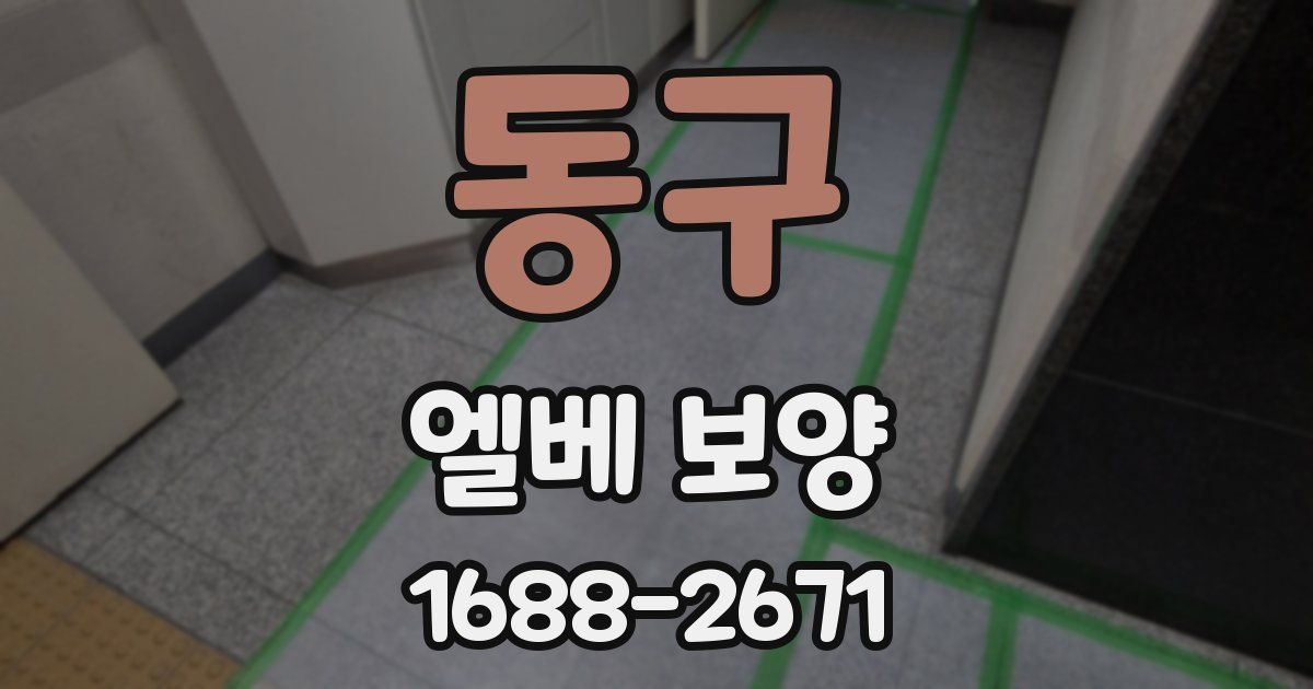 동구 엘베 보양