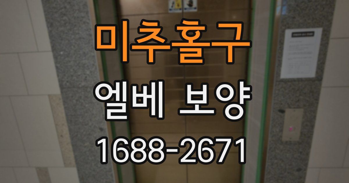미추홀구 엘베 보양