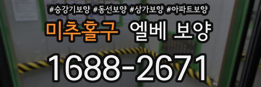 미추홀구 엘베 보양
