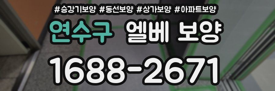연수구 엘베 보양