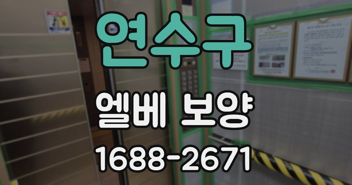 연수구 엘베 보양