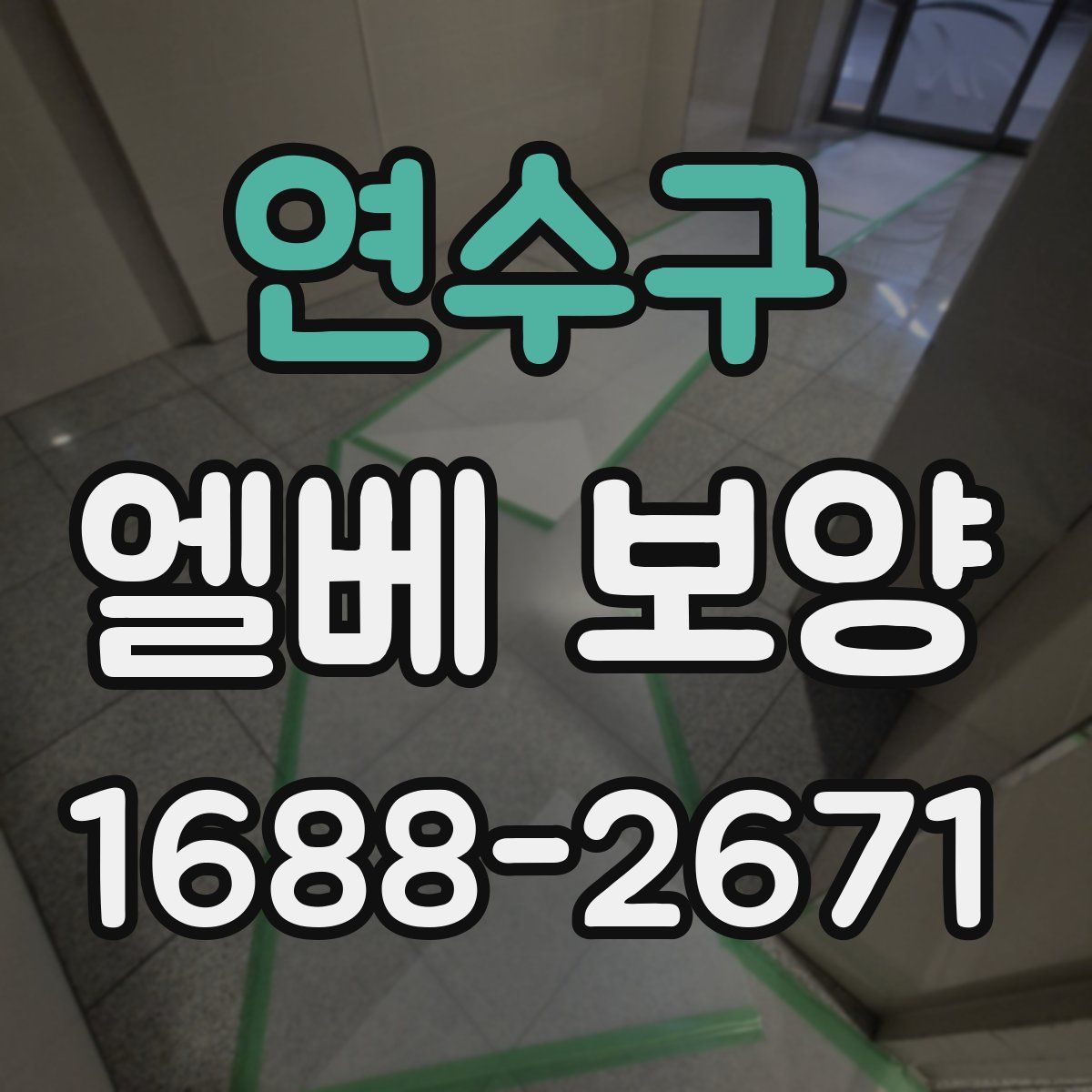 연수구 엘베 보양