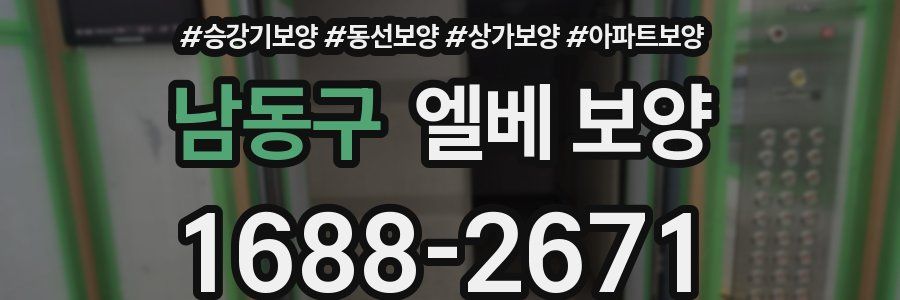 남동구 엘베 보양