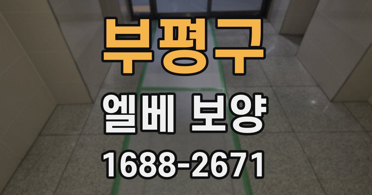 부평구 엘베 보양